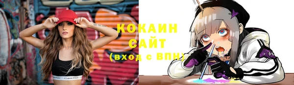 скорость Новозыбков
