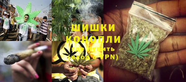 молекула духа Новодвинск