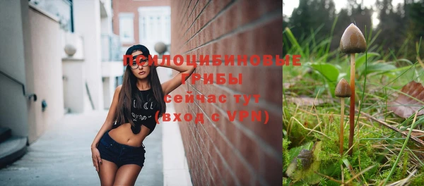 хмурый Нязепетровск