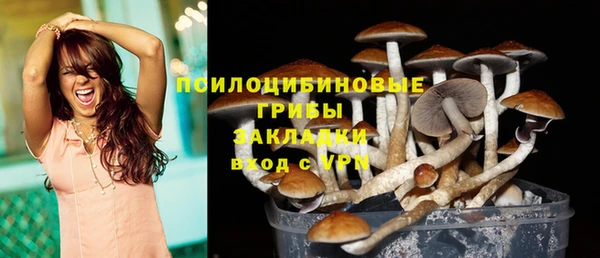 скорость Новозыбков