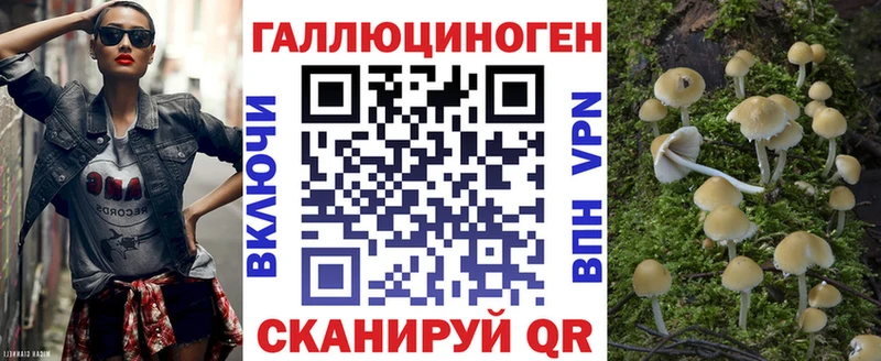 MEGA зеркало  сайты даркнета как зайти  Галлюциногенные грибы мицелий  Сосновка 